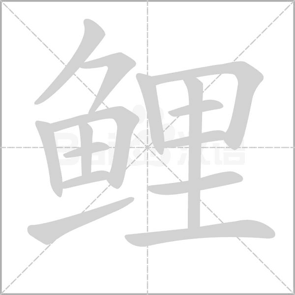鯉